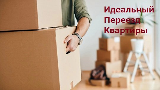 Как организовать идеальный переезд квартиры?